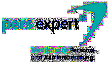 Logo pers expert